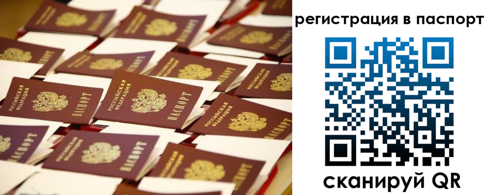 прописка гарантия в Троицке